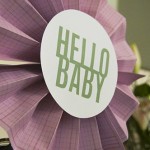 Hello Baby Shower