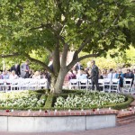 Oakland Outdoor Wedding