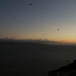 Alcatraz San Francisco CA