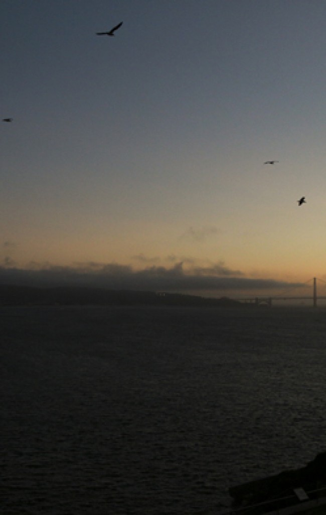 Alcatraz San Francisco CA