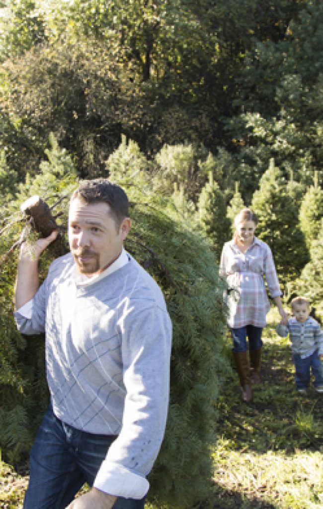 Castro Valley Family Photographer