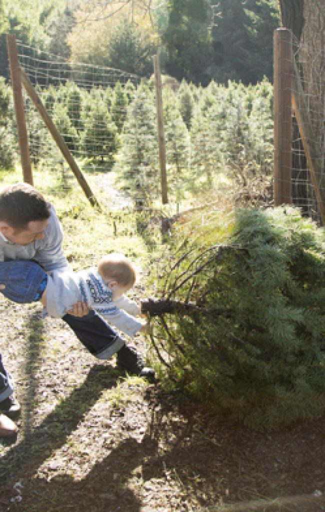 Castro Valley Family Photographer